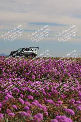 media/Jan-08-2023-SCCA SD (Sun) [[8f6a5b9391]]/Intermediate Group/Session 2 (Short Straight)/